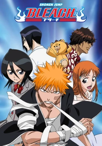 Bleach anime series