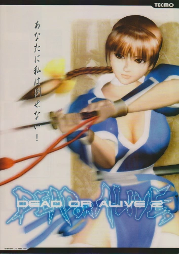 Dead or alive 2 arcade game