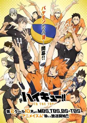 Haikyu!! anime series