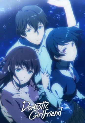 Domestic Girlfriend – Domestic na Kanojo Anime Series