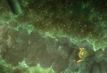 Bleach: Thousand-Year Blood War episode 1