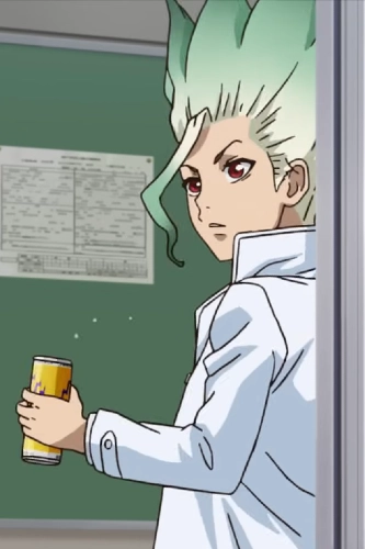Senku Ishigami - dr. stone