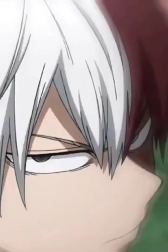 Shoto Todoroki - mha