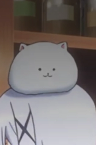 Tippy - gochiusa