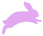 gochiusa rabbit