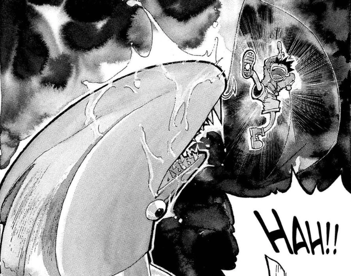 hunter x hunter manga chapter 1